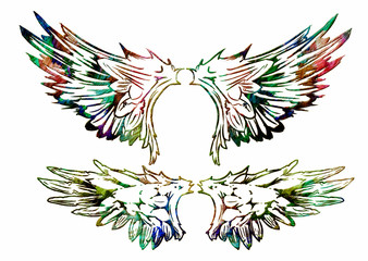 3d isolated antique colorful metal wings