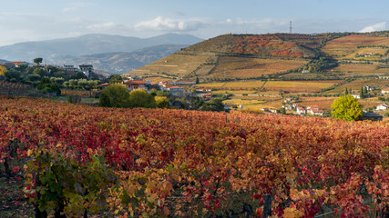 Field with mountain range in the background, Douro Valley, Portugal