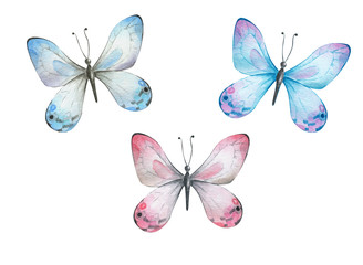 Set with blue pink watercolor butterflies.