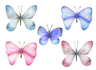 Fototapeta premium Set with blue pink watercolor butterflies.