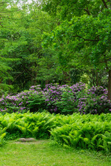 Obraz premium The Tiergarten, walk through the green beautiful park in central Berlin, green lawns and beautiful flowers