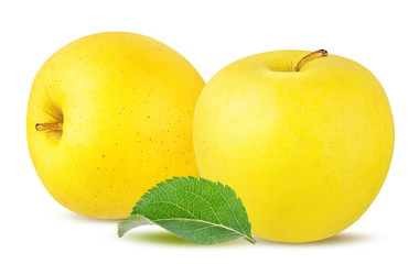 Fresh yellow apples isolated on white background with clipping path