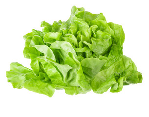 Fresh lettuce isolated on white background with clipping path