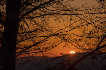 Sunrise in mountains throw branches