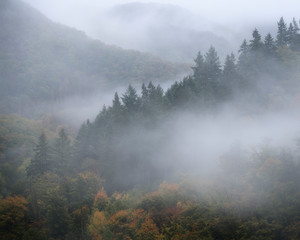 View from one of the viewpoints at Burg Eltz in Germany. It was a morning with a lot of rain, but this created nice shreds of fog over the trees in the mountains.