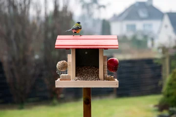 Sierkussen Great tit on a bird feeder © mellsva