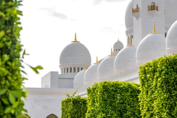Gardinen the great white mosque in Abu Dhabi, UAE  © Joerg
