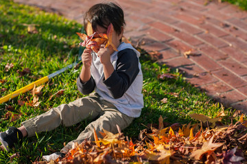 Young son sitting next to raked fall leaves in the front yard while covering his eyes with two...