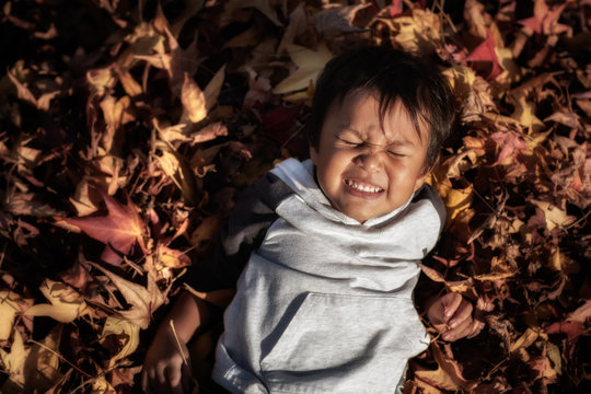 A Little Kid With A Facial Expression Of Pain Or Discomfort While Laying On A Pile Of Fall Leaves During Autumn Season.