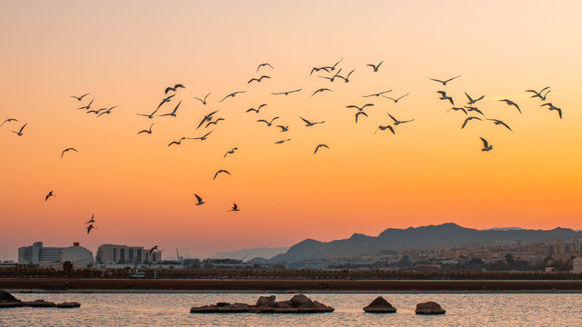 eilat sunset landscape with mountains 