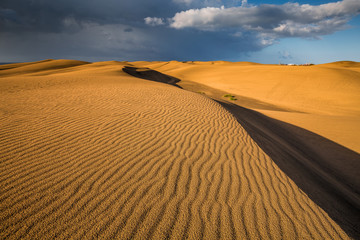 Maspalomas dunes in sunrise light in Gran Canaria in Canary Islands.