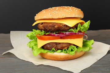 bbq hamburger with vegetables, spices on dark wooden background