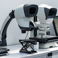 Stereo Microscope