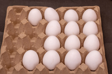 Eggs in a row inside a carton box. Side view