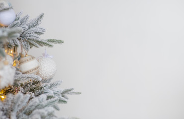 sprigs of dressed Christmas tree on a light background panoramic