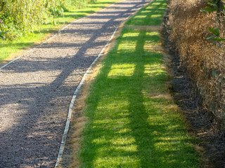 Obraz premium the shadow of the courtyard on the footpath