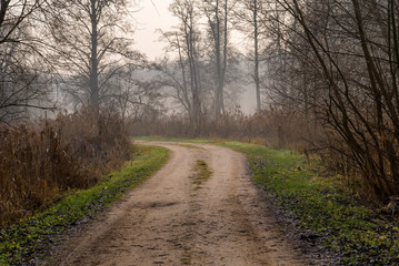 Rzeka Supraśl, Puszcza Knyszyńska, Grudniowy ciepły dzień, Ocieplenie klimatu