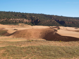 Coral Pink Sand Dunes State Park, Utah
