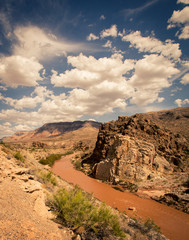 river in a canyon in Arizona