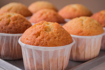 Freshly baked vanilla chip muffins. Homemade food.