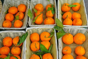 Fresh orange clementines for sale at a farmers market in Australia
