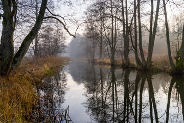 Rzeka Supraśl, Puszcza Knyszyńska, Grudniowy ciepły dzień, Ocieplenie klimatu