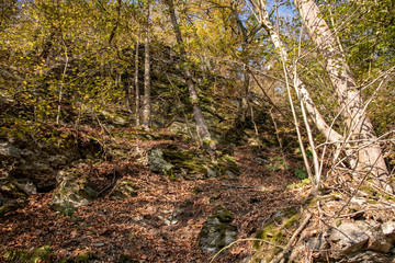 Romantic autumn landscape near the village Neumühle,Elster in Thuringia,Germany a beautiful hiking area with mountains and beautiful panoramas