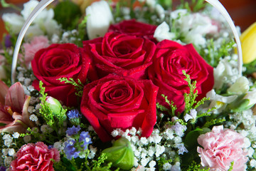 Red flower picture close up in the bouquet. The flower's petal . Bouquet of fresh red, white , orange roses . bouquet of multicolored roses .
