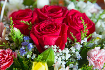 Red flower picture close up in the bouquet. The flower's petal . Bouquet of fresh red, white , orange roses . bouquet of multicolored roses .