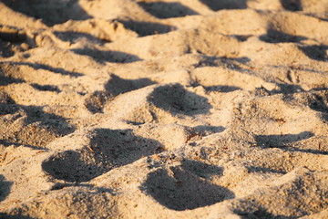 uneven textured sand yellow with debris on a Sunny day, the shadows of the slides. background, screensaver.