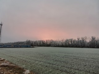 frosty dawn