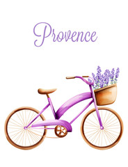 Purple bicycle with lavender in the front basket. Classic tires. Watercolor vector