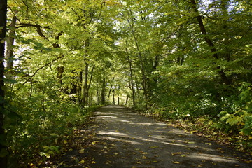 Walk through the Nature