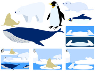 流氷とシロクマとペンギンとアシカ、オットセイ、そして鯨