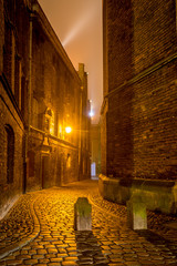 Plebania Street at night in Old Town of Gdansk. Poland, Europe