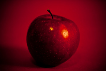 One Red apple on red background