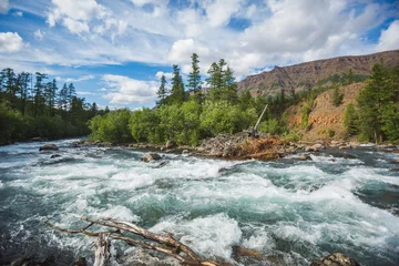 Fleecedeken met foto Bos rivier Hoisey River on the Putorana Plateau. Russia, Siberia  © Crazy nook