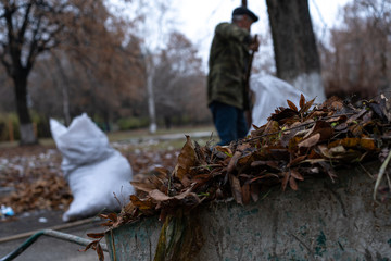 A man cleans and sweeps a yard
