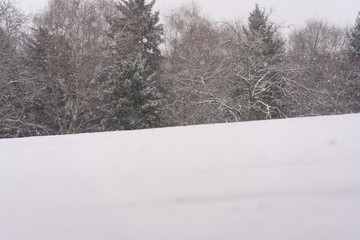 Fototapeta na wymiar Snow is falling on the background of trees.