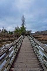 Naklejka premium Wooden Walkway Over Wetlands On A Winter Day