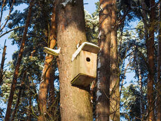 Handmade wooden birdhouse on a tree in the forest