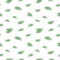 Seamless vector pattern of green carved leaves of a tropical palm tree on a white background.