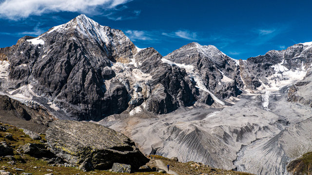 Ortler