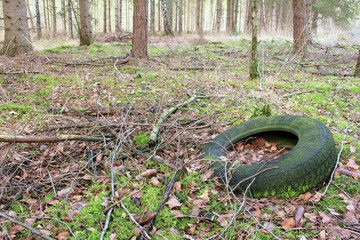 Umweltverschmutzung