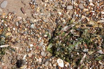 Sand und Wasser am Strand Detail 