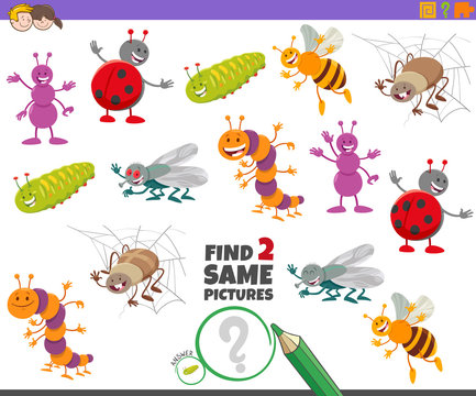 find two same insect characters game for kids