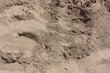Feiner Sand Detail Strand 