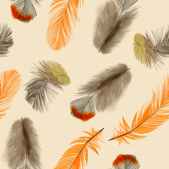 Colorful Feathers Seamless Pattern