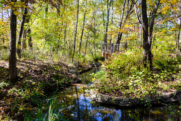 autumn in the park