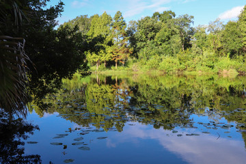 Fototapeta na wymiar Blue sky, vivid green trees reflecting into a peaceful, serene lake.